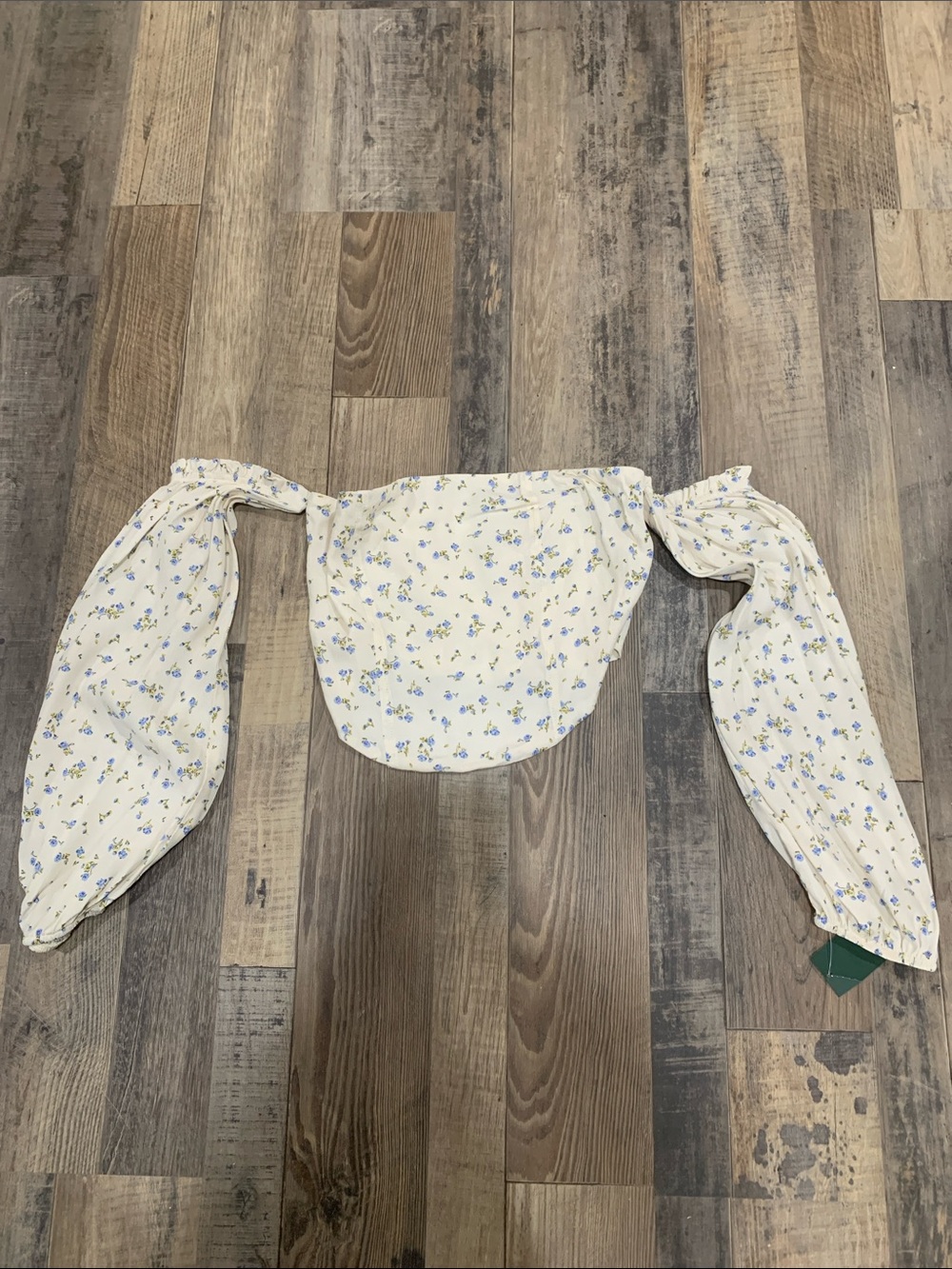 wild fable Cream Floral Off-Shoulder Crop Top with Blue & Green Print